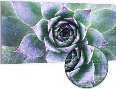 Produktbild von DEQORI Hybrid Leinwand Bild 100x50 cm 'Taufrische Symmetrie' Wandbild Glas flach modern
