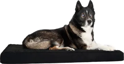 Produktbild von Back on Track Hundematratze schwarz 70 x 85  cm, Größe:Einheitsgröße