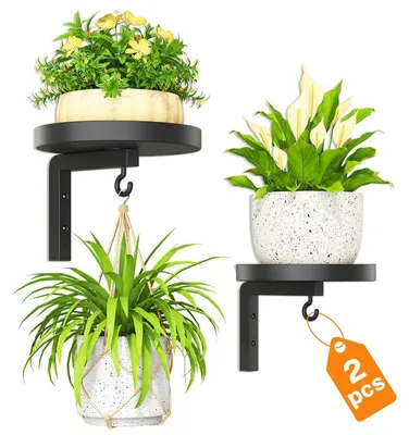 Produktbild von 2 Stück Wand-Pflanzenständer Metall mit Haken, Blumenständer für Wandmontage, Küche & Badezimmer, Schwarz