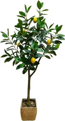 Obrázek produktu pro HOMLA UMĚLÁ ROSTLINA LEMON TREE 115 cm