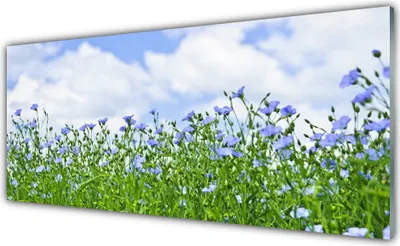 Produktbild von Acrylglasbilder 125x50 Wandbild Druck Blumen Natur