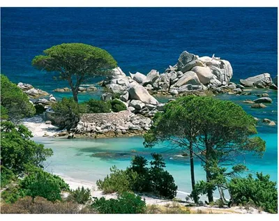 Image de Puzzle plage de palombaggia 1000 pièces - collection évasion - corse - nathan