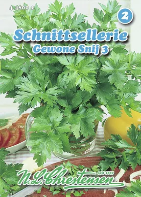 Artikelbild 1 von 'Schnittsellerie Gewone Snij' aus der Kategorie Schnittselleriesamen