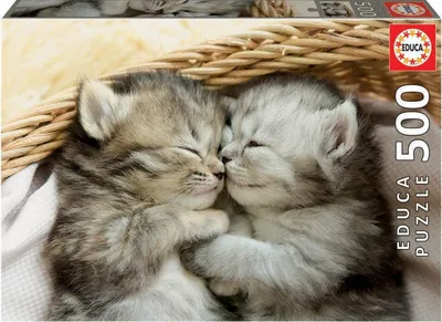 Immagine prodotto di Puzzle 500 pezzi Sweet Kittens Educa 19004