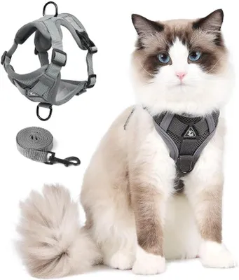Produktbild von Katzengeschirr mit Leine, verstellbar und sicher für große Katzen