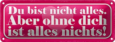 Produktbild von Blechschild Spruch 27x10cm du bist nicht alles aber ohne Dekoration