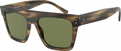 Image de Lunettes de soleil pour hommes Armani AR8177-54092A Ø 52 mm