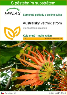 Obrázek produktu pro SAFLAX - Australský větrník strom - Stenocarpus sinuatus - 20 Semena - S pěstebním substrátem bez klíčků