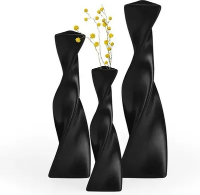 Image de Lot de vases en céramique - Hauteur : 18-27 cm - Décoration pour fleurs séchées - Décoration d'intérieur - Noir