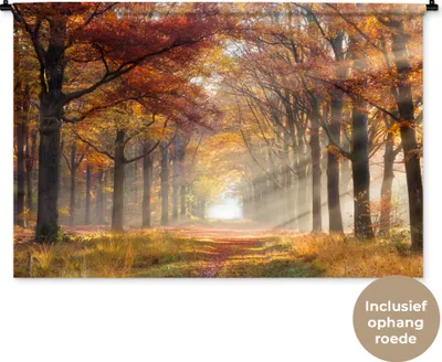 Produktbild von MuchoWow® Wandteppich Wandbehang Herbst - Wald - Baum 150x100 cm Tapisserie Dekoration Wandtuch - Waschbar - Tapisserien - Wand-Decke