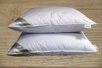 Produktbild von Betten Hofmann Ideal Kopfkissen 80x80 cm Daunenkissen 60% Daunen 650g kuschelweich waschbar