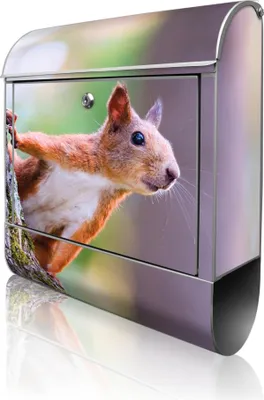 Produktbild von banjado Design Briefkasten Stahl silber mit Zeitungsfach pulverbeschichtet "Eichhörnchen" 38x46x12,5cm & 2 Schlüssel - Postkasten A4 Einwurf inkl. Montagematerial [BK 10326]
