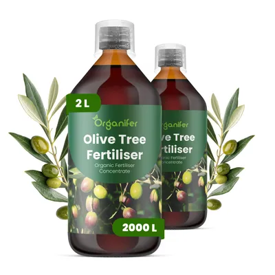 Zdjęcie produktu dla Drzewo Oliwne Nawóz Płynny 2x1 L – 2-1-8 NPK – Do Olivovníky – Podporuje Silne Pędy i Dlhotrvajúce Plony Olív – Organifer