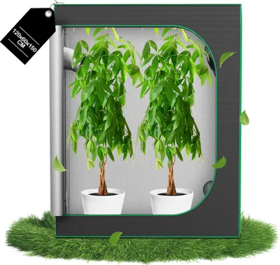 Produktbild von UISEBRT Grow Zelt für Indoor Pflanzenzucht – Lichtundurchlässige Growbox mit Mylar-Beschichtung & Lüftungsöffnungen, ideal für Hydroponik & Gemüse – 120 x 60 x 150 cm