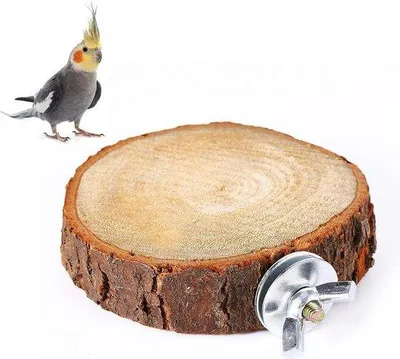 Immagine prodotto di Parco giochi in legno per uccelli e piccoli animali