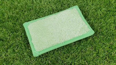 Produktbild von Osmo Öl-Farben Auftrags-Vlies 95 x 155 mm - 14000271