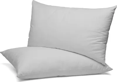 Produktbild von BEAUTEX 2er Set Kissenbezug, Kissenhülle aus gekämmter Baumwolle, Premium Jersey 160g/m², Größe und Farbe wählbar,Hellgrau,40x60cm
