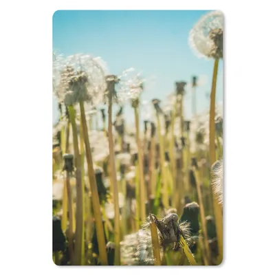 Produktbild von MuchoWow® Mauspad Mousepad Blumen - Löwenzahn - Gras 18x27 cm - Mousepads - Maus Mat - Pad - Mausunterlage