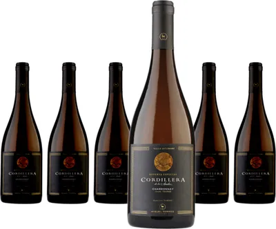 Produktbild von 6 x Miguel Torres Chile Cordillera Chardonnay Limari Valley