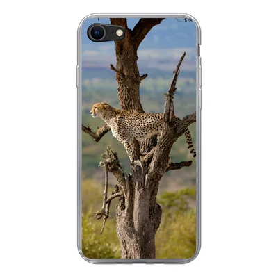 Produktbild von MuchoWow® Handyhülle Schutzhülle Hülle für iPhone 8 Leopard - Baum - Tier Silikon Softcase Handy Hülle - Schutzhaube