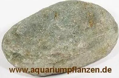 Produktbild von ca. 1 kg Diskusscheiben, Diskussteine, Aquarium