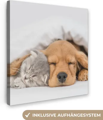 Produktbild von MuchoWow® - Leinwandbilder - Haustiere - Hund - Katze - Decke, Wandbild, Wanddeko Bilder Wohnzimmer, 90x90 cm