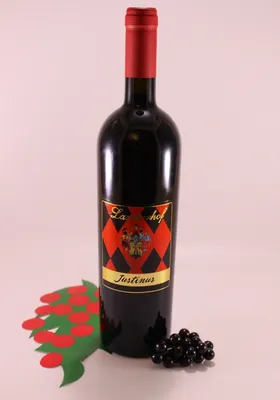 Produktbild von Merlot - Lagrein Justinus - 2022 - Weingut Larcherhof