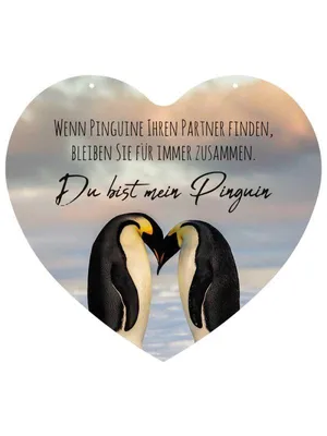 Produktbild von Herz Blechschild Du bist mein Pinguin HB027