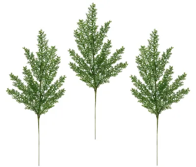 Image de Omgoods - Cyprès artificiel pour la décoration de vases ou de compositions florales