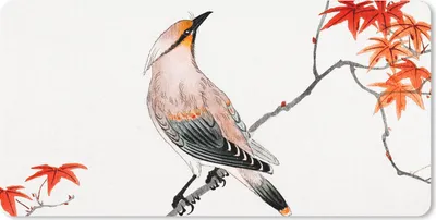 Produktbild von MuchoWow® Mauspad Mousepad Vogel - Japanischer Ahorn - Vintage 60x30 cm - Mousepads - Maus Mat - Pad - Mausunterlage - Nachhaltig