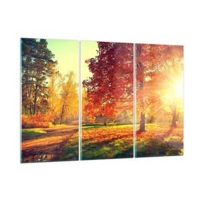 Produktbild von Bilder auf glas - Park Herbst Baum - 105x70cm - Glasbilder - Wandbilder - Kunstdruck - zum Aufhängen bereit - Wanddekoration aus Glas - Glas Bilder - Wandbild auf Glas - 3 Teile - GCE105x70-3654