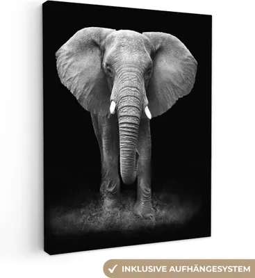 Produktbild von MuchoWow® - Leinwandbilder - Elefant - Schwarz - Weiß, Wandbild, Wanddeko Bilder Wohnzimmer, 60x80 cm
