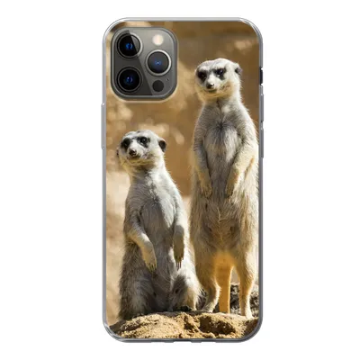Produktbild von MuchoWow® Handyhülle Schutzhülle Hülle für iPhone 13 Pro Felsen - Erdmännchen - Tiere Silikon Softcase Handy Hülle - Handy-Tasche
