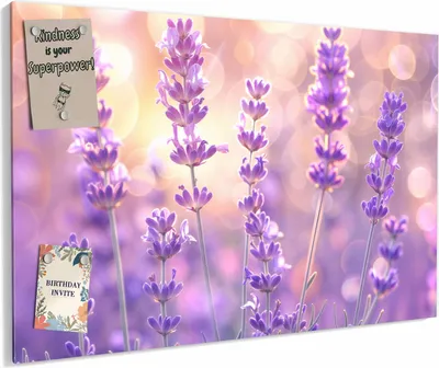 Produktbild von Magnettafel 60x40cm magnetisch & beschreibbar Metall-Board - Lavendelblütenfeld
