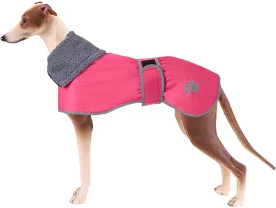 Productafbeelding van Winterjas voor honden met een voering van lamswol, geschikt voor grote honden
