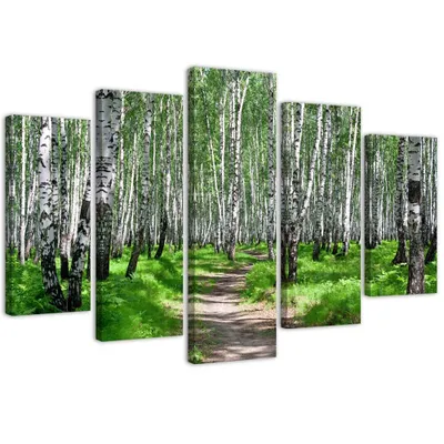 Produktbild von 5-teiliges leinwandbild birkenwald 150x100 cm Feeby grün wandbild bereit zum aufhängen