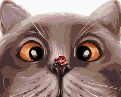 Immagine prodotto di Zuty - Dipingere con i numeri - CUCUCCIA SU UN GATTO, 40x50 cm, tela tesa su telaio