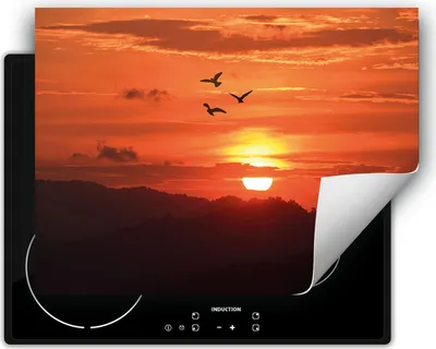 Produktbild von DarHaus Herdabdeckplatte 80x52 cm Anti Rutsch Matte Aufrollbar, Himmel - Vogel