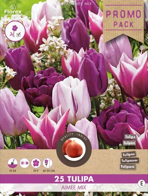 Artikelbild 1 von 'Tulpe Aimee Mischung (25 Stück)' aus der Kategorie Tulpenzwiebeln