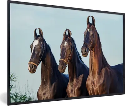 Produktbild von MuchoWow® Gerahmtes Poster Pferde - Halfter - Braun 60x40 cm - Poster mit Schwarzem Bilderrahmen Wandposter Rahmen Foto Bilder - Printing - Wanddeko Schlafzimmer