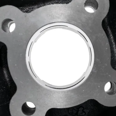 Image de Cylindre MXT Standard 50ccm LC, diamètre de piston 10mm, complet avec piston et joint d'étanchéité, compatible avec les moteurs Minarelli horizontaux LC / Yamaha, MBK, Aprilia, Malaguti, Beta, KTM, Italjet, Benelli, Adly