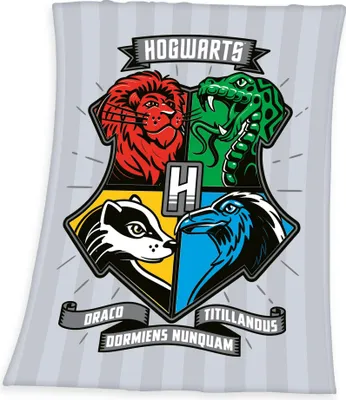 Zdjęcie produktu dla Koc polarowy dla dzieci Harry Potter 130 x 170 cm