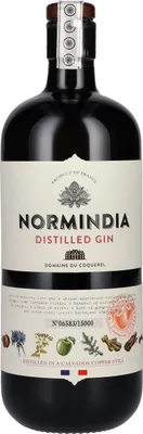 Produktbild von Normindia Gin Distillé 41,4% Vol. 0,7l