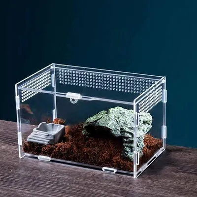 Obrázok produktu pre Akrylový box na kŕmenie hmyzu - box na chov plazov - 20x12x12 cm