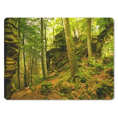 Produktbild von MuchoWow® Mauspad Mousepad Bäume - Stein - Wald - Natur - Pflanzen 40x30 cm - Mousepads - Maus Mat - Pad - Mausunterlage - Anti Rutsch