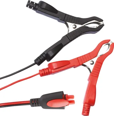 Image de Chargeur de batterie Carpoint Intelligent 3,5 A 6-12 V