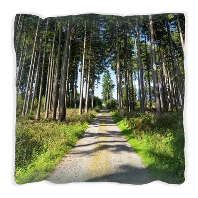 Produktbild von Wallario Premium Kissen, weiche Oberfläche, mit Motiv Stiller Waldweg, Größe: 60 x 60 cm, mit weißer Rückseite