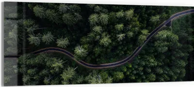 Produktbild von DEQORI Glasbild Echtglas 125x50 cm 'Grüne Straßenwelt' Wandbild Bild modern Deko