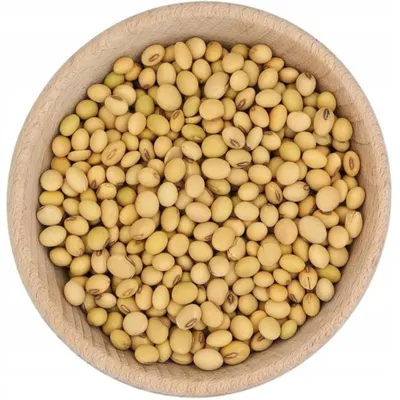 Produktbild von Sojabohnen 1 kg | ganze Bohnen, vielseitig | für Kochen, Bowls & Salate