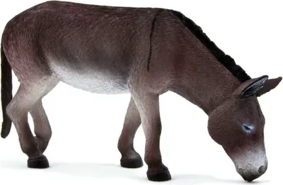 Immagine prodotto di Animal Planet Esel futternd